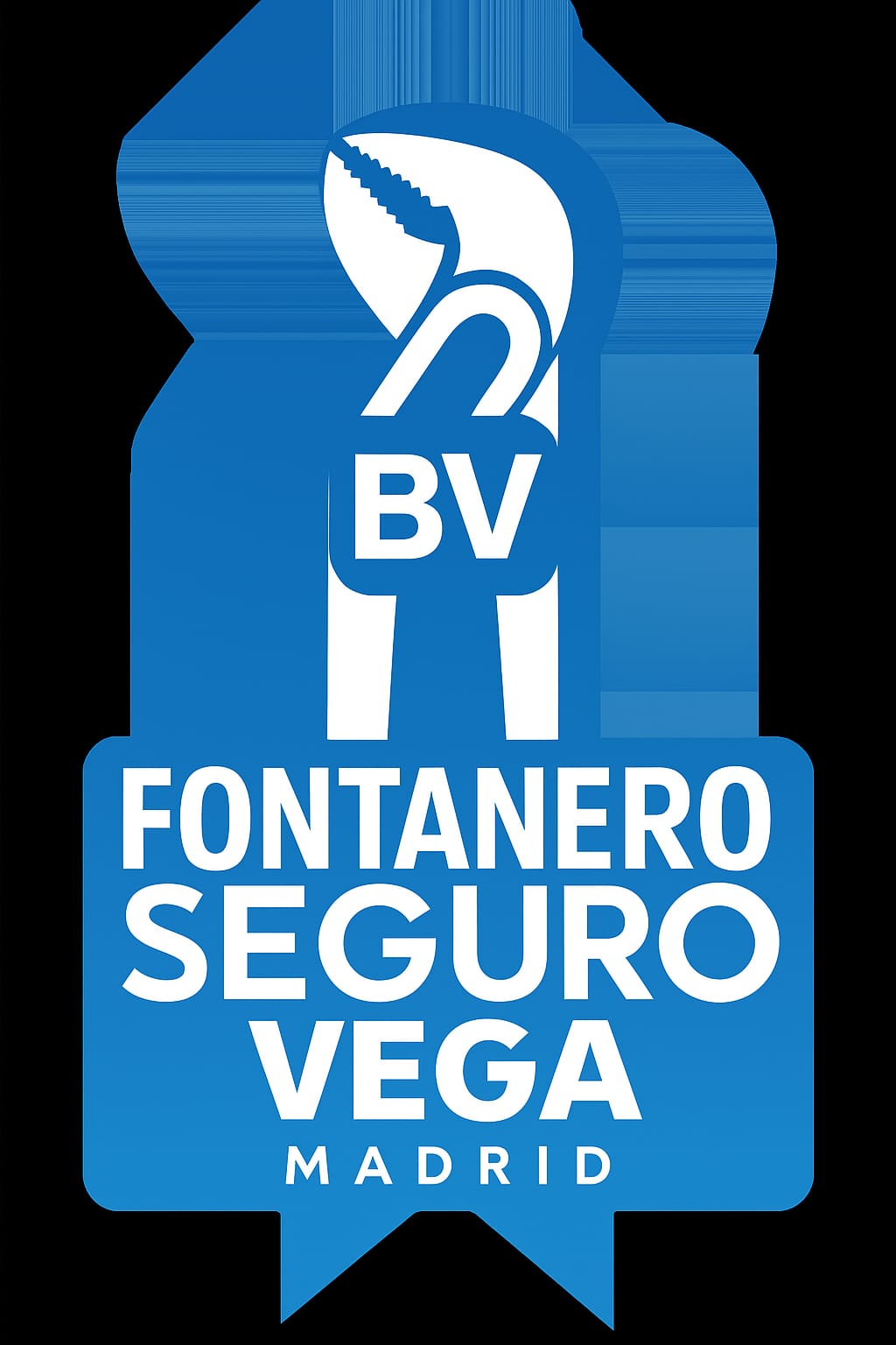 Fontanero Seguro Vega
